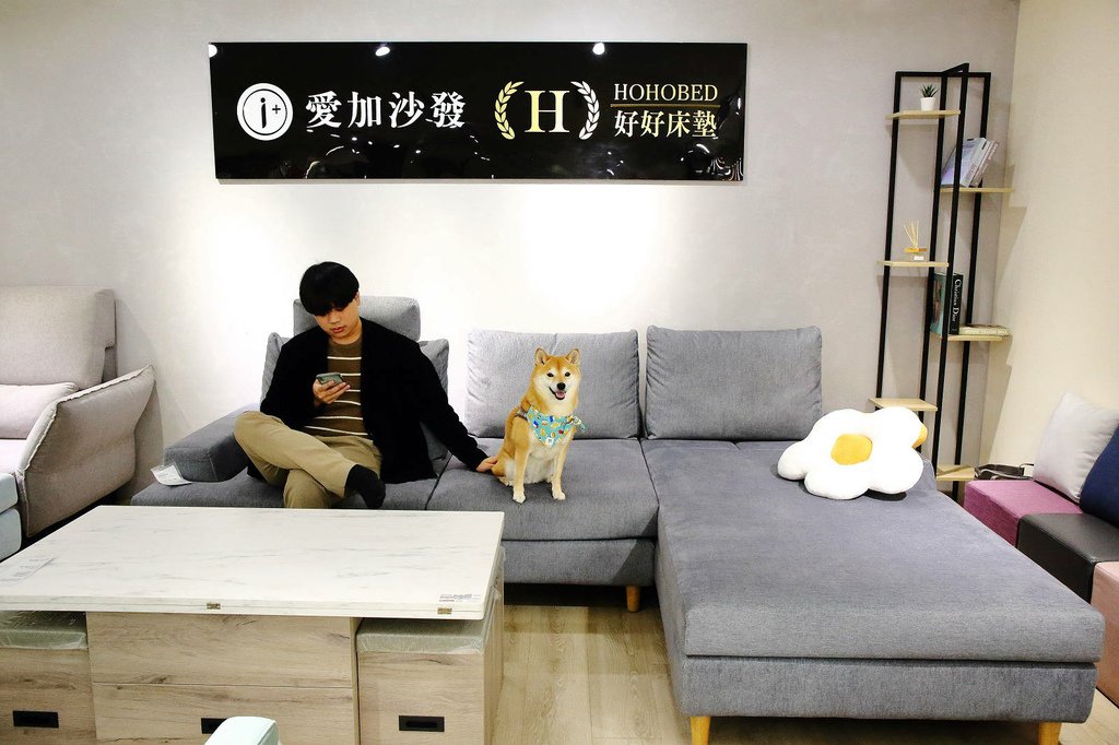 【愛加沙發】福爾摩莎 Formosa 全拆洗設計搭配友善寵物沙發布，再也不用擔心沙發遇到破壞狂