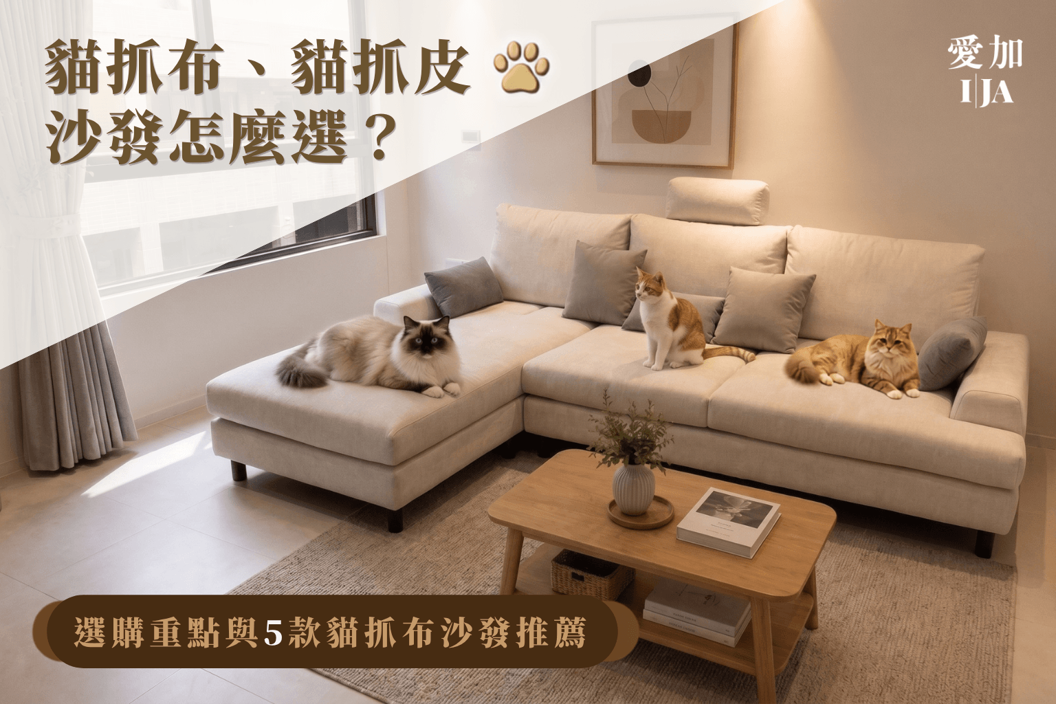 貓抓皮沙發兼具耐用與質感，深受購屋族與毛孩家庭喜愛