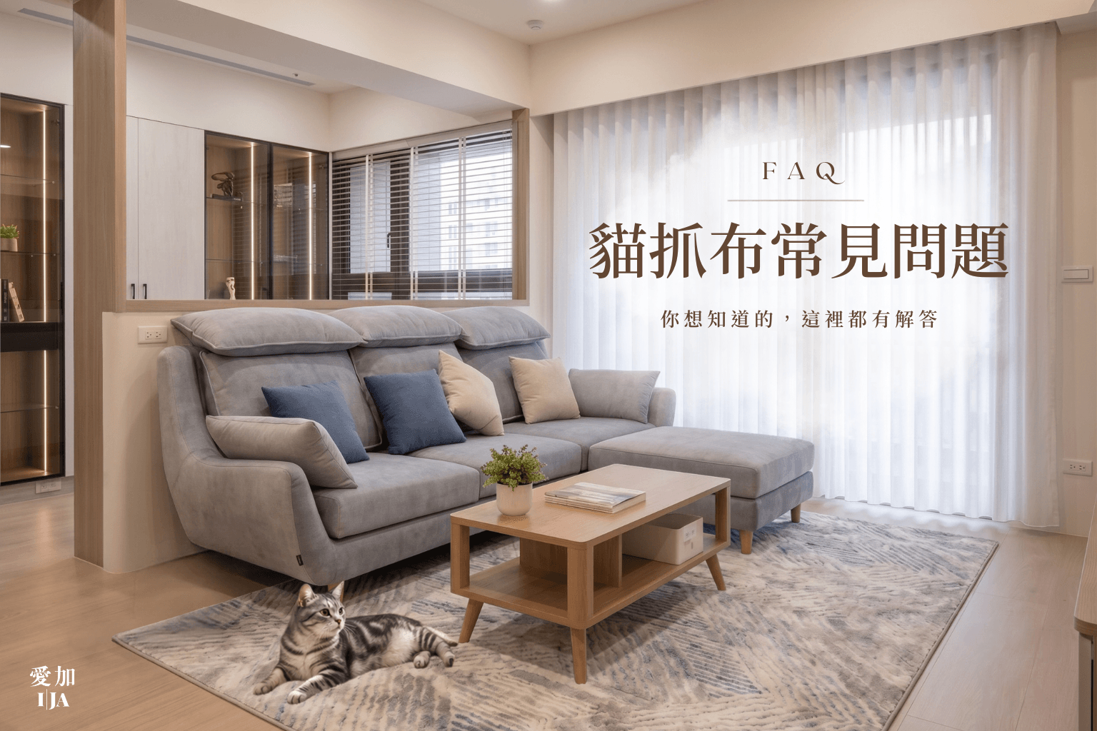 精選9大常見貓抓布沙發疑問，愛加沙發一次為你解答！
